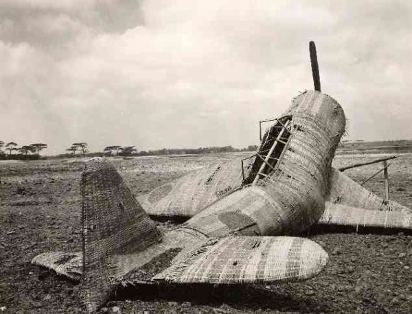 Cargo Cult: bamboo plane